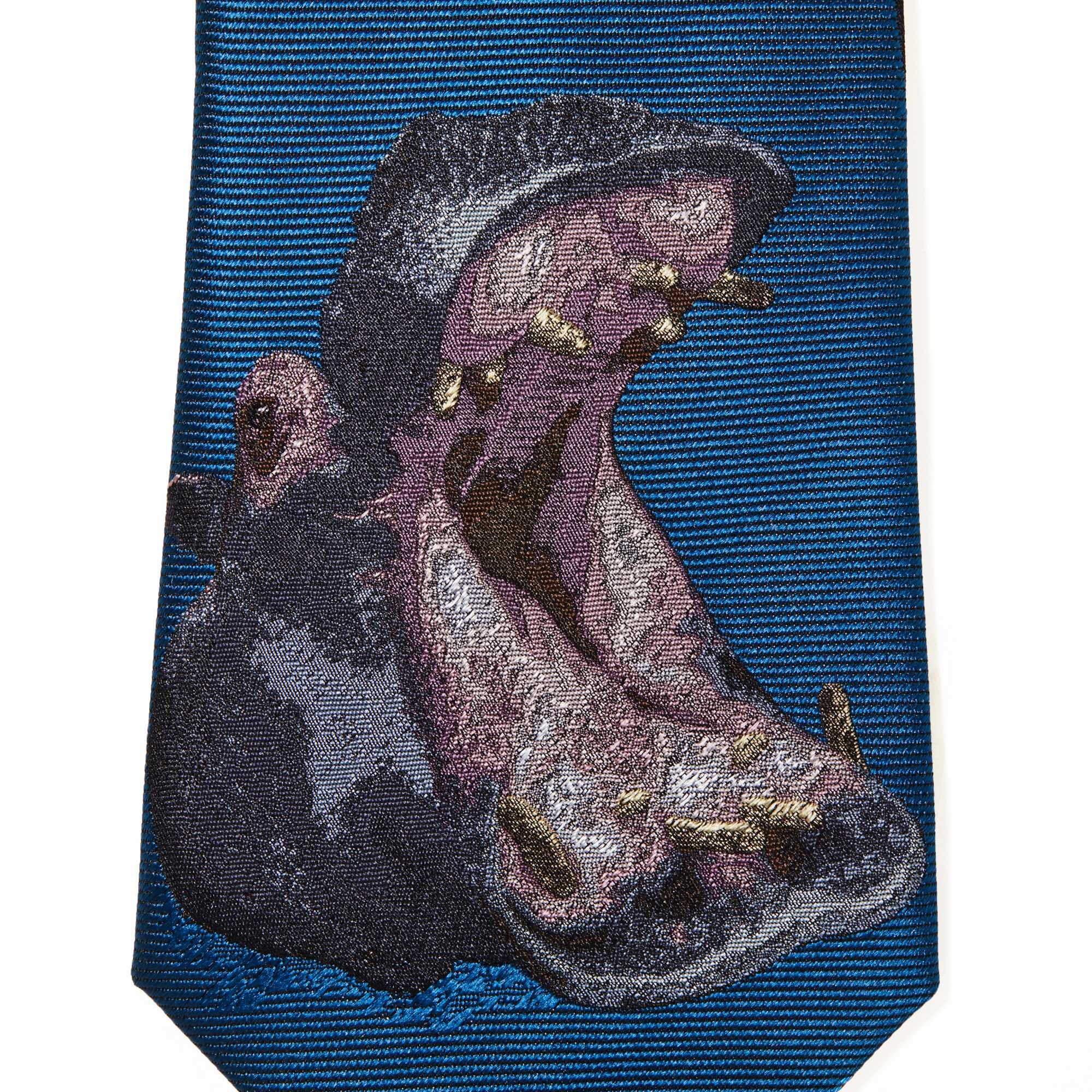 動物図鑑〈カバ〉