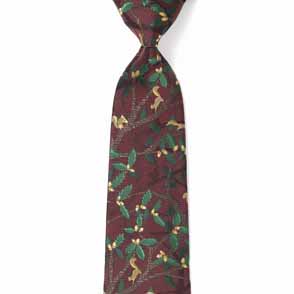 リスとドングリ