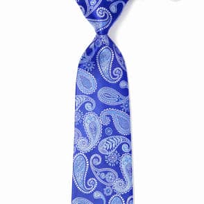 ブルーエレット_ペイズリー