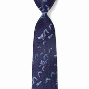 ドラゴンレース