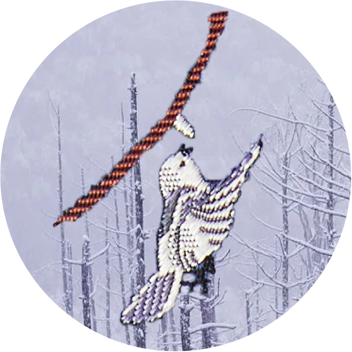 シマエナガの、木の樹液が凍った氷柱を飛びながら舐めている様子