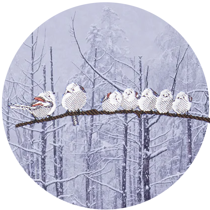 シマエナガの雛たちが、枝に一列におだんごのようにくっついている光景